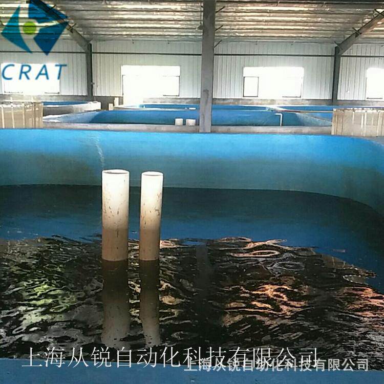 上海从锐环保型工厂化养殖设备/澳洲龙虾循环水养殖系统设计