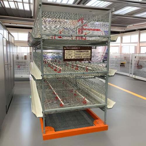 集蛋配件集蛋爪捡蛋机集蛋带自动捡蛋机集蛋线集蛋蛋鸡机械全自动