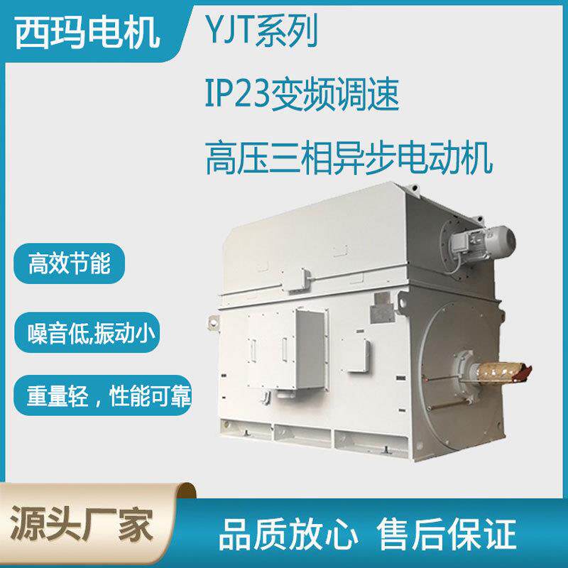 西安电机YJT710-4极4000KW10KV高压变频交流三相异步电动机