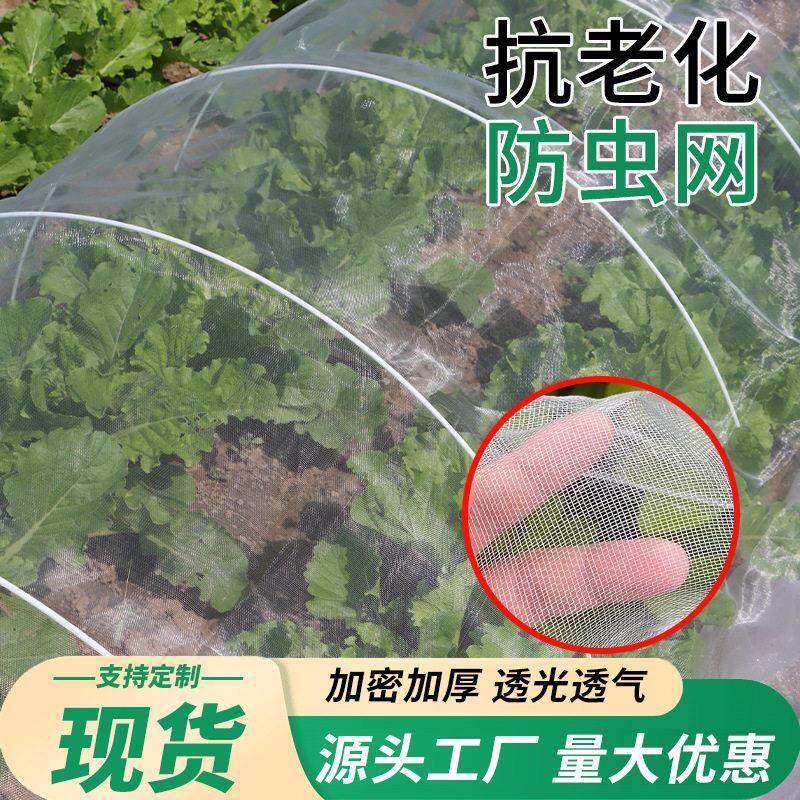 农用防虫网种菜种植大棚防鸟网养殖围网防蝗虫纱网加厚加密防鸟网