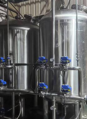 跨境海水淡化设备商用工业水处理设备0.25吨去离子超纯水制水设备