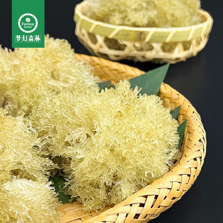 网红饮品植物燕窝冻品现货竹燕窝竹花竹菌山珍燕窝 竹燕窝