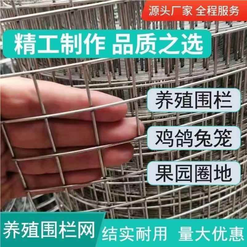 热镀殖锌铁丝网围栏网养钢鸡丝网拦网建网筑网防护网铁网15971格
