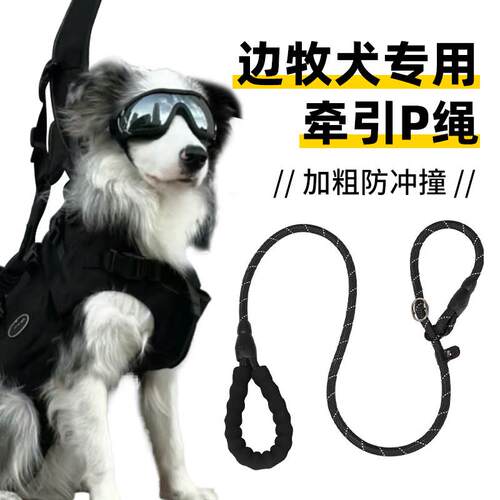 边牧专用牵引绳防爆冲赛级防挣脱P绳遛狗绳炼小中大型犬训练金毛