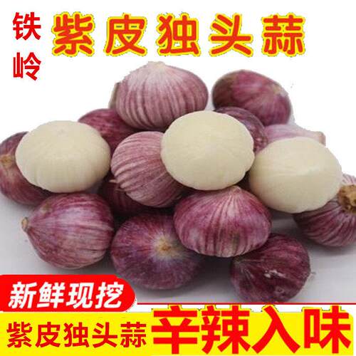 东北铁岭紫皮独头特产蒜5斤大蒜 新鲜农家蔬菜蒜头现挖干蒜包邮