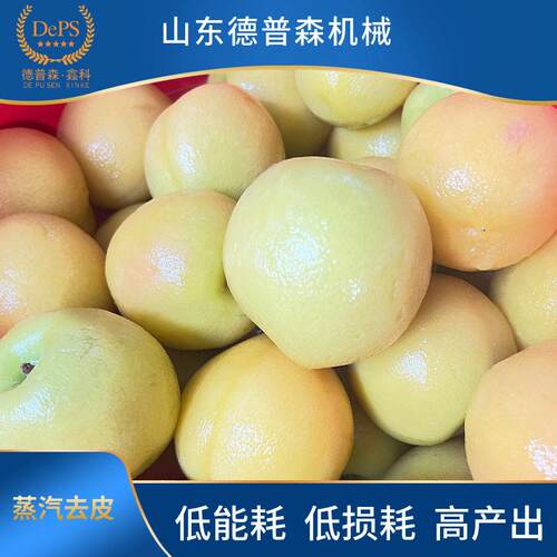 商用桃子无花果清洗脱皮机胡萝卜洋葱农作物去皮设备