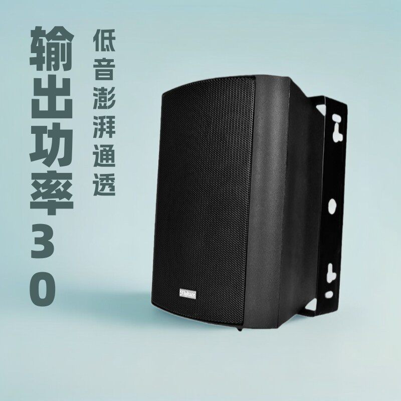 现货带票FT-10530瓦壁挂音箱壁挂喇叭挂壁音响定压壁挂喇叭