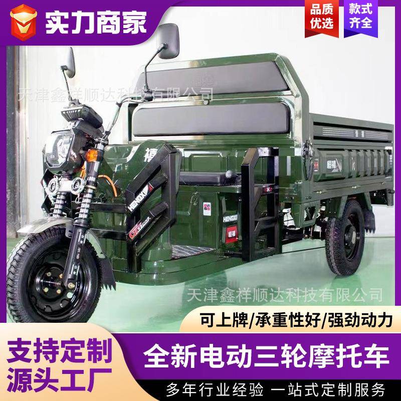 厂家直销电动三轮车动力强劲载重王家用农用货运质量保证可上牌