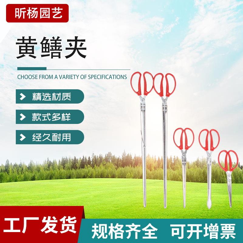 不锈钢黄鳝夹子 赶海夹 泥鳅龙虾钳子环卫垃圾夹子 黄鳝夹