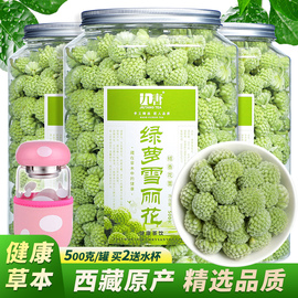 绿萝花茶500g西藏野生绿箩花泡水罗布麻茶三清茶养生茶叶