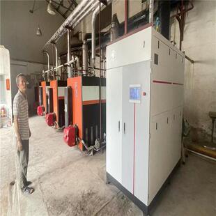 YQ低氮燃气冷凝蒸汽锅炉免报装 1.25 蒸汽发生器 WNS4 D级锅炉