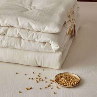 新款A类全棉春秋被子母被单人宿舍学生四季用李官奇大豆纤维冬被