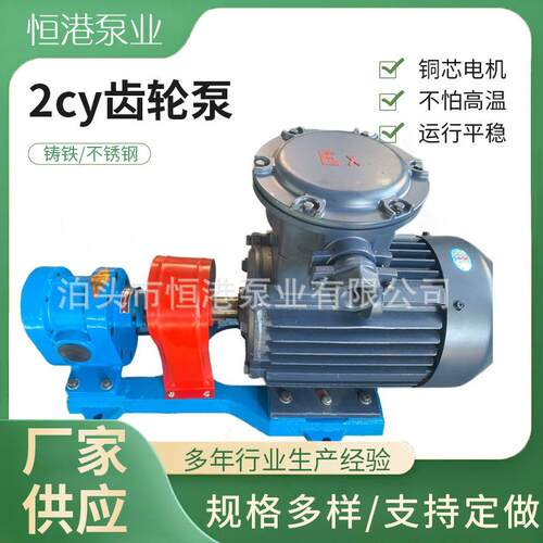 2CY不锈钢齿轮泵 不锈钢磁力齿轮泵 2CY齿轮泵厂家供应规格多样