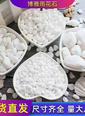 白色小石头机制石砾石鹅卵石雪花白枯山水园林景观铺面装饰白石子