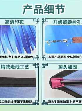 【水母仙子风筝】公主女孩新大手典初者BAC易飞经易飞新学款型高