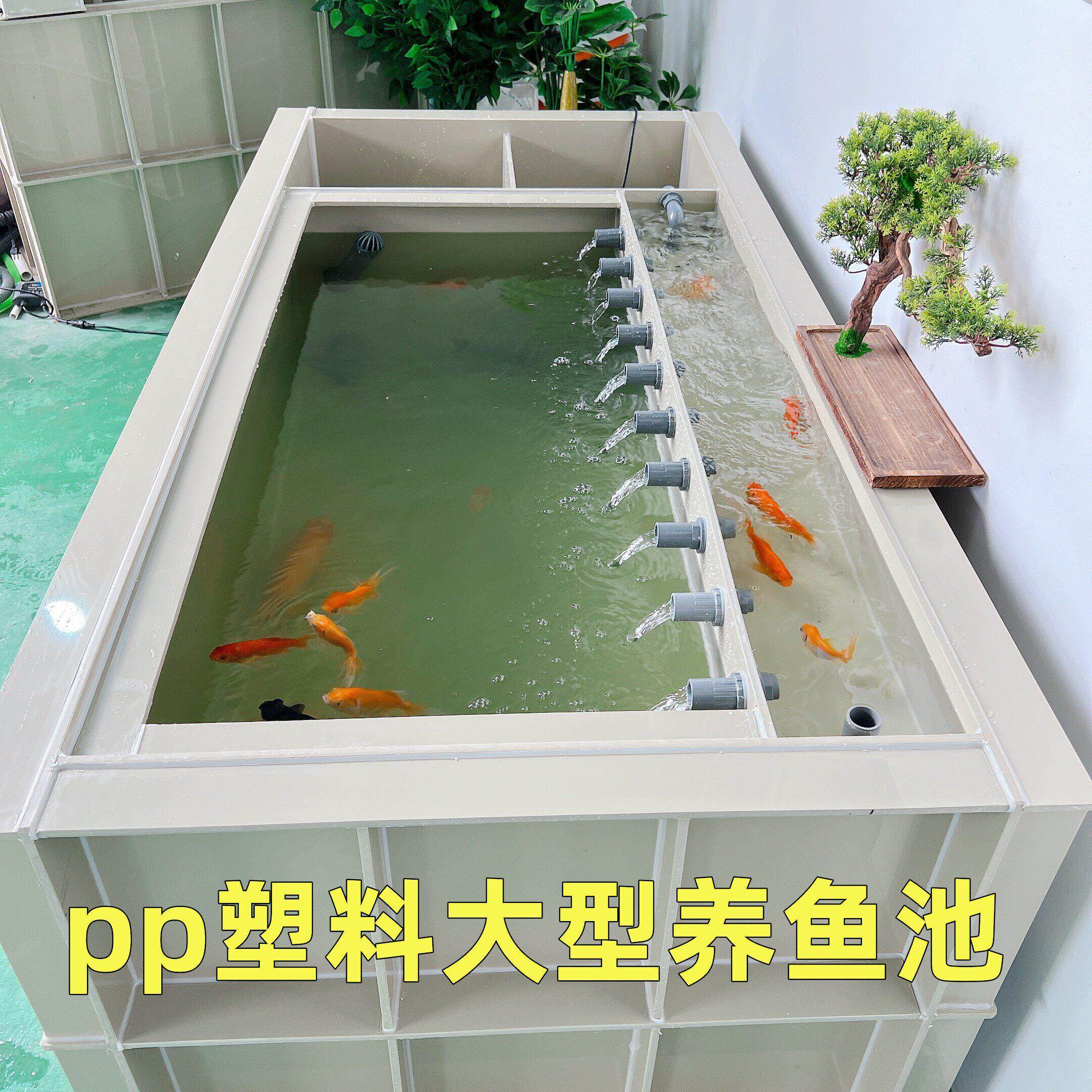 别墅院子阳台家大型升级版侧过滤鱼缸鱼池加Pp塑料金鱼锦鲤鱼盒