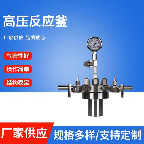 高压反应釜微型磁力搅拌加热简易釜不锈钢高压反应釜水热合成