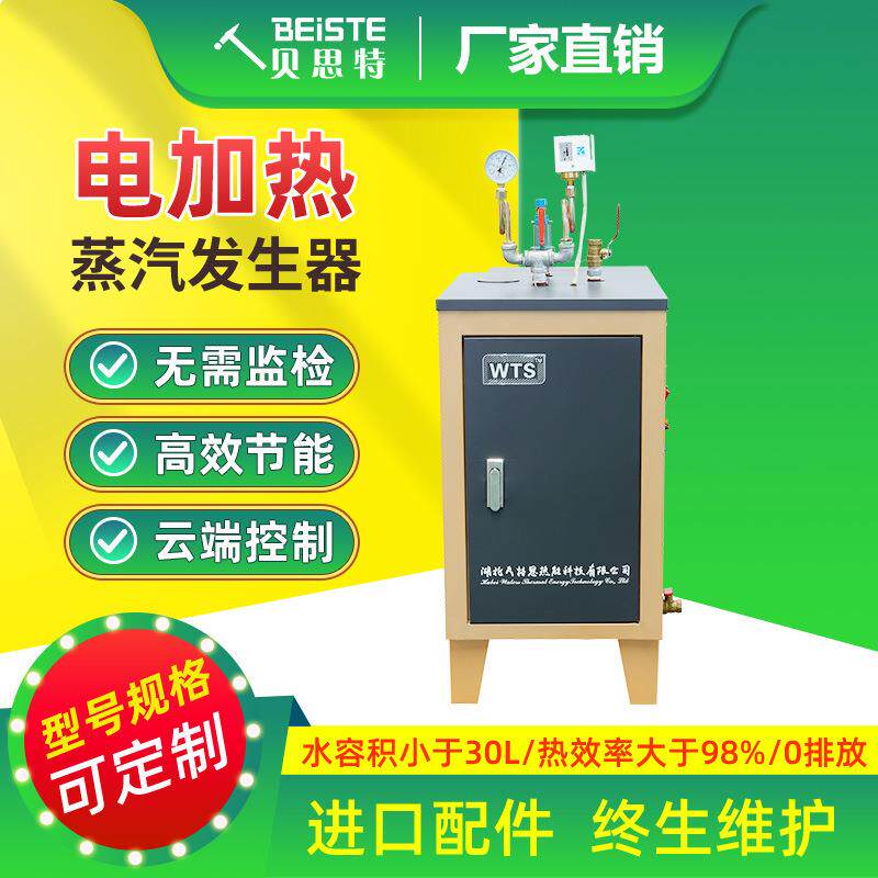 蒸汽发生器厂家直销服装整烫食品厂化工厂用防爆电加热全自动化