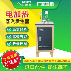 蒸汽发生器厂家直销服装整烫食品厂化工厂用防爆电加热全自动化
