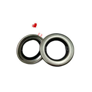 PTFE双唇不锈钢骨架油封50/55/58/60*68/72/75/80/85*8/10/12轴封
