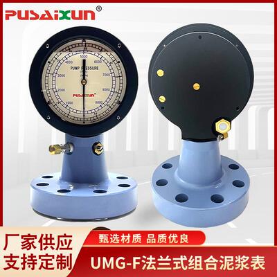 吊钳扭矩压力测量表UMG-F法兰式组合泥浆表测量泥浆泵压测量表