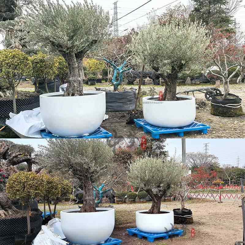 玻璃钢户外大口径种树圆形组合花盆花箱广场公共区域园林公园学校