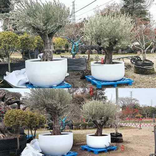 玻璃钢户外大口径种树圆形组合花盆花箱广场公共区域园林公园学校