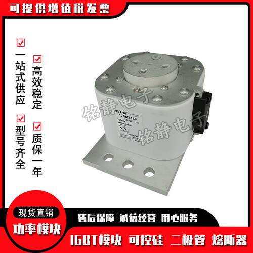 170M7118 170M7119 170M7120 170M7121 170M7122巴斯曼熔断器
