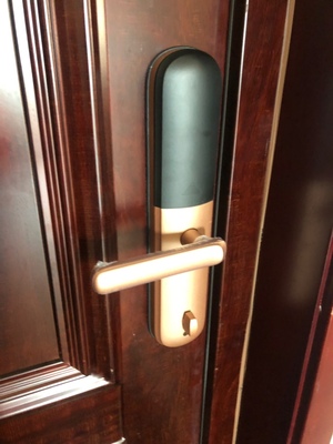 千万小心德施曼指纹锁怎么样，多人维权没差评内幕？