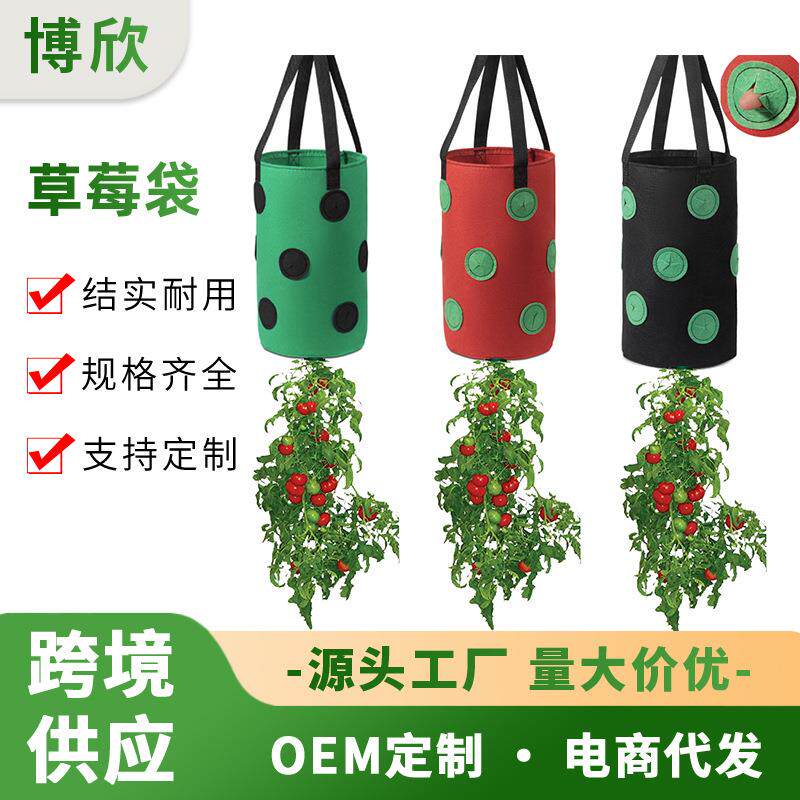 跨境爆款13孔草莓种植袋底部有孔悬挂式美植袋吊挂式草莓种植袋