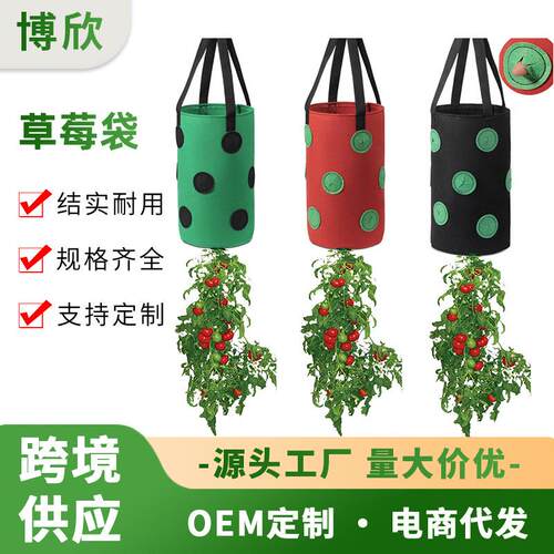 跨境爆款13孔草莓种植袋底部有孔悬挂式美植袋吊挂式草莓种植袋