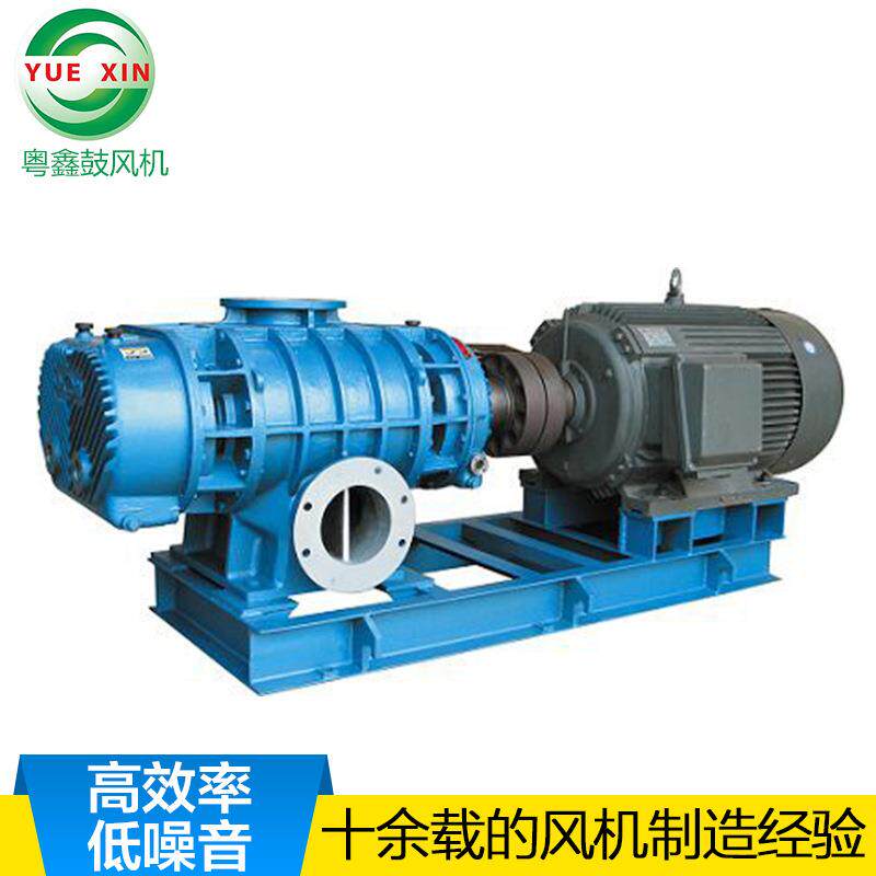 厂家供应 粤鑫国产防腐罗茨鼓风机 沼气增压耐磨罗茨鼓风机