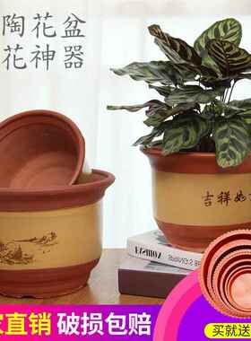 兰花专业盆油画吊兰花盆落地陶瓷花花大号陶紫砂陶紫砂家用价盆景
