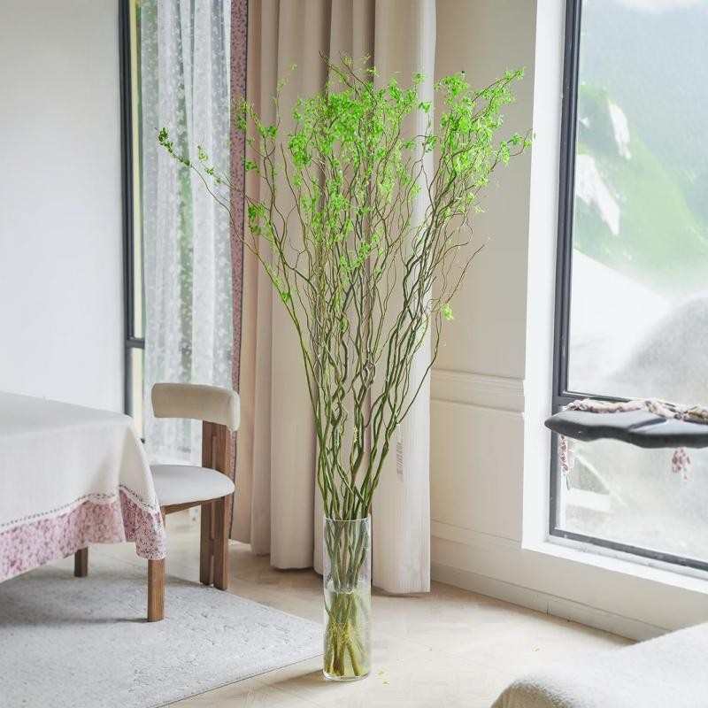 龙柳鲜枝水培植物水养绿植雪柳干支室内国风龙柳装饰盆栽中式吊钟图片