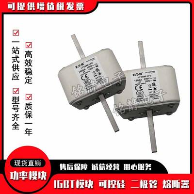 6170M6012170M60113170M0147现0M601THN5巴斯曼熔断器170M6016货