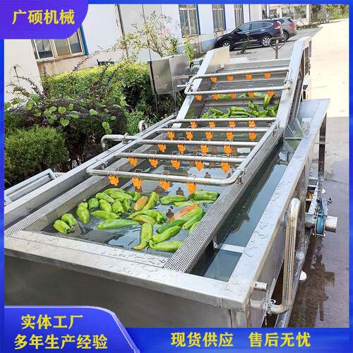 全自动气泡蔬菜清洗机水果果蔬清洗设备净菜辣椒青菜鼓泡清洗机