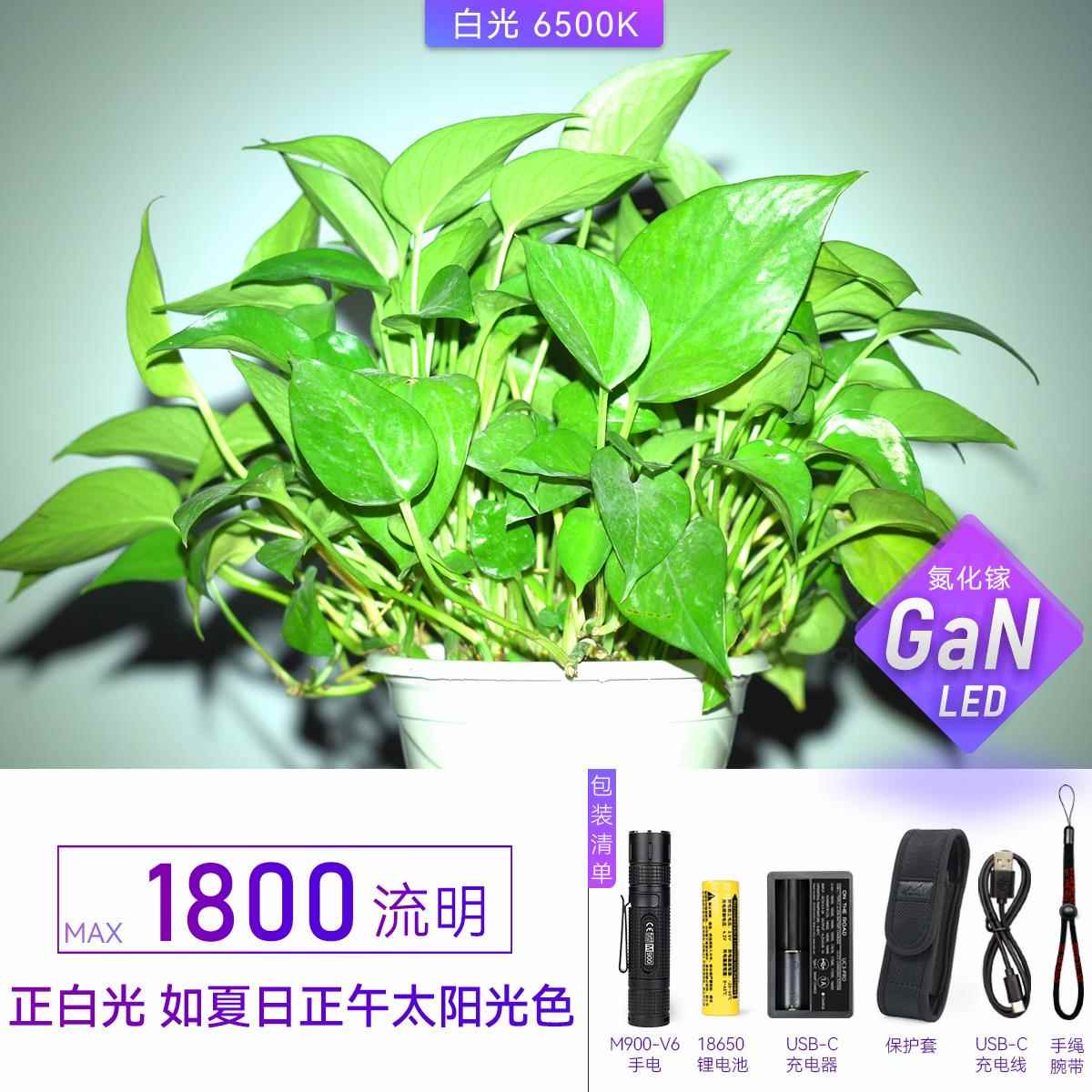 正品在路上M手900-V6 迷你手电筒看玉石充强光电远射电小电手户外