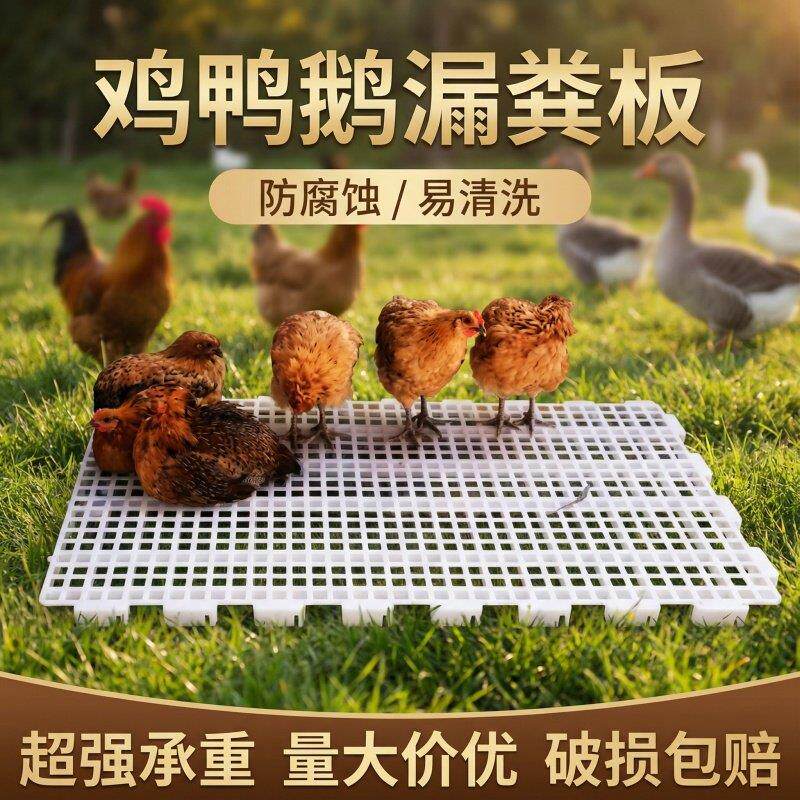 鸡用漏粪板养鸡用脚垫鸡笼家禽鸭鹅鸡鸽子漏屎地板鸡舍鸡粪漏粪网