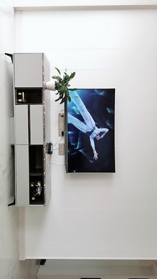 感受体验TCL55Q960C与东芝55U5850C功能对比哪款好用？区别大不大