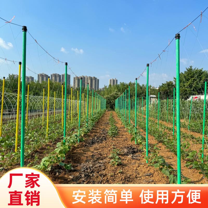 玻璃纤维包毡管百香果桔树果树立柱冬瓜蔬菜爬藤支架大棚骨架全套