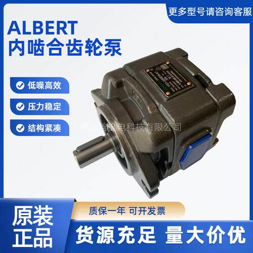ALBERT 艾伯特齿轮泵 VG2-100REW-A1 VG2-125REW-A1 伺服电机油泵