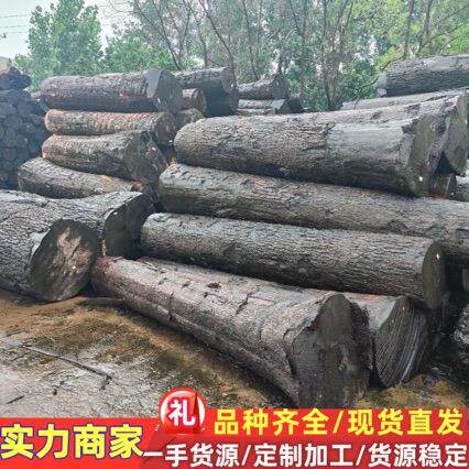 直销枫木原木 法国枫木树瘤 影木 琵琶料 工艺品料 河流桌料 欧枫