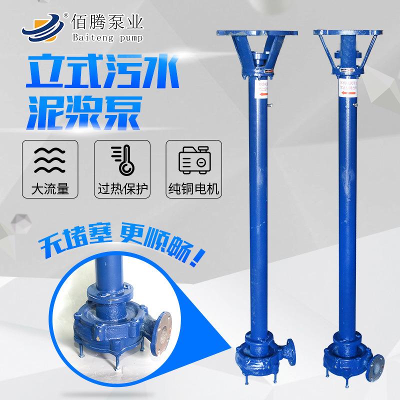 厂家现货DYWS单双管泥浆泵无堵塞排污泵污水泵泵立式污水泥浆泵