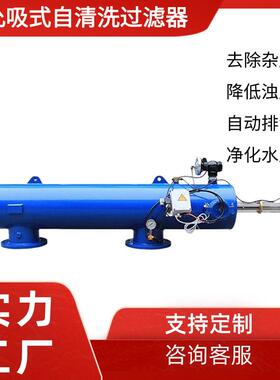 全自动卧式允吸式自清洗过滤器 离心式过滤器 电动刷式过滤器