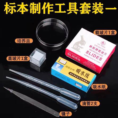生物临时装片制作工具初中稀碘液切片染色用载玻片盖玻片教学仪器