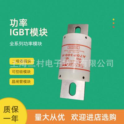 全新熔断器保险丝A70P25-1A70P25-4A70P30-1A70P30-4A70P35-4