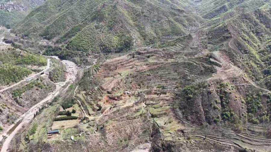 （破）山西历山旅游投资有限公司名下的林木资产和林地资产