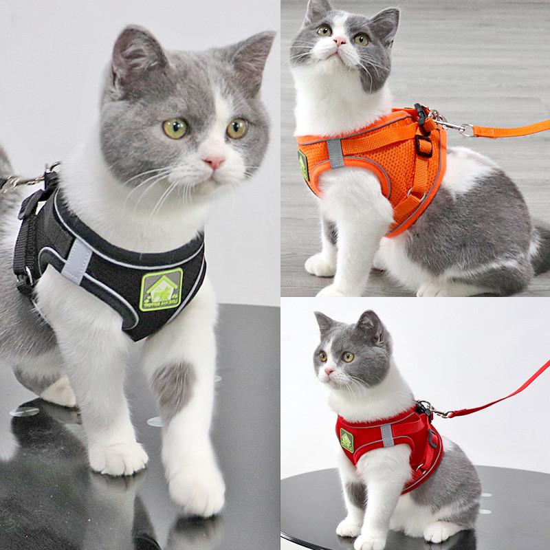 专用猫咪猫防外出背带牵引绳牵引绳式挣脱绳猫咪猫遛幼胸反光背心