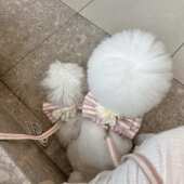 ins粉色条纹透气胸背套装 泰迪比熊犬狗狗外出牵引绳遛狗绳批发pet