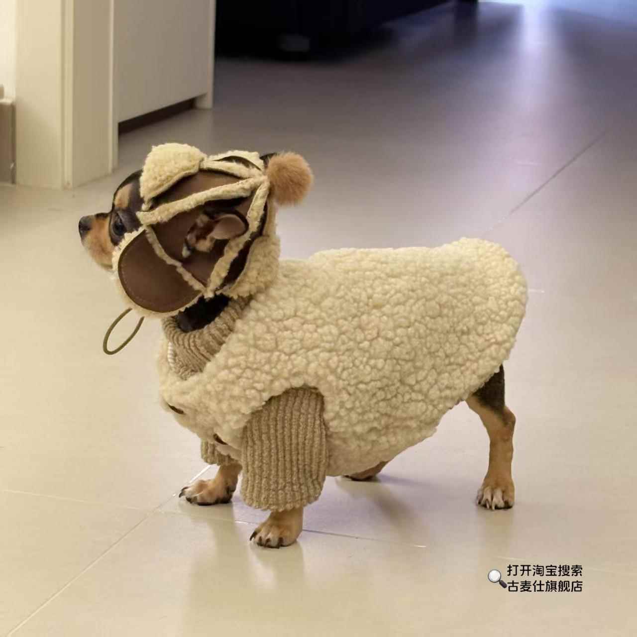 吉娃娃衣服狗狗衣服秋冬季羊羔毛宠物吉娃娃小型犬比熊泰迪无毛猫
